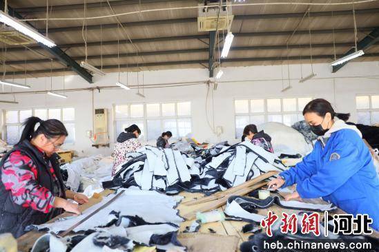 河北南宮：皮草制品迎來銷售旺季:河北絲網制品

