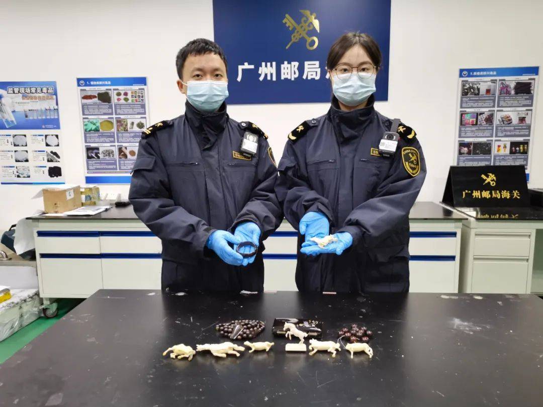 廣州海關(guān)在進(jìn)境寄遞渠道查獲11件瀕危動物制品:廣州絲網(wǎng)制品
